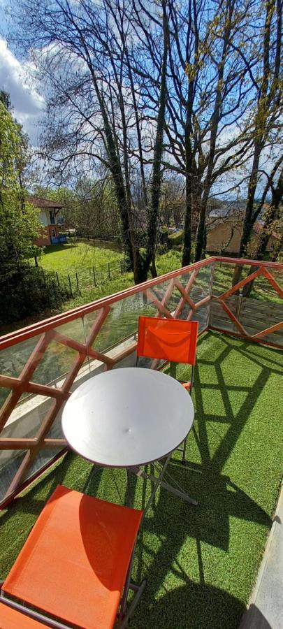 Le Petit Park-Studio-Terrasse- Piscine-Wifi Fibre Appartement Pau Buitenkant foto